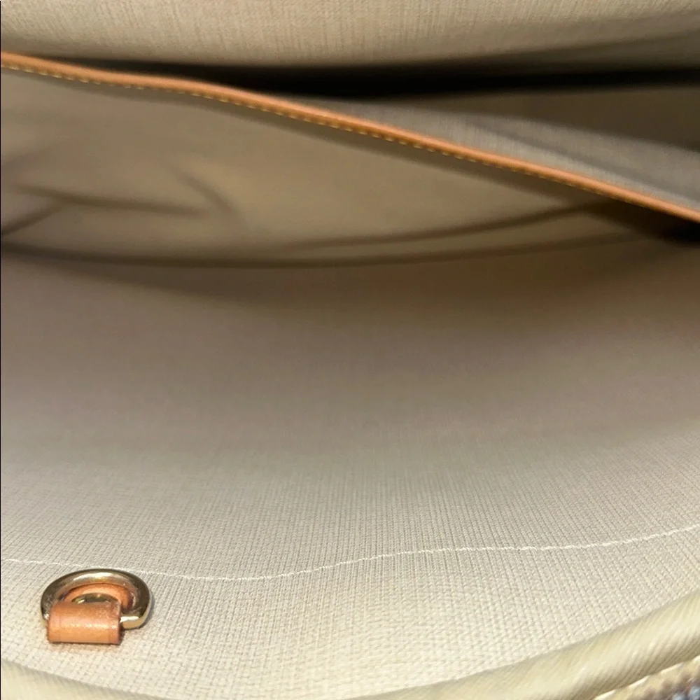 Louis Vuitton Brown Monogram Men's Bag